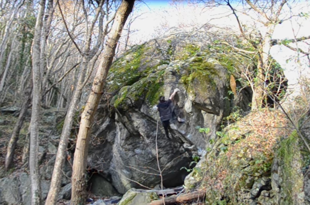 niccolò ceria su gioia