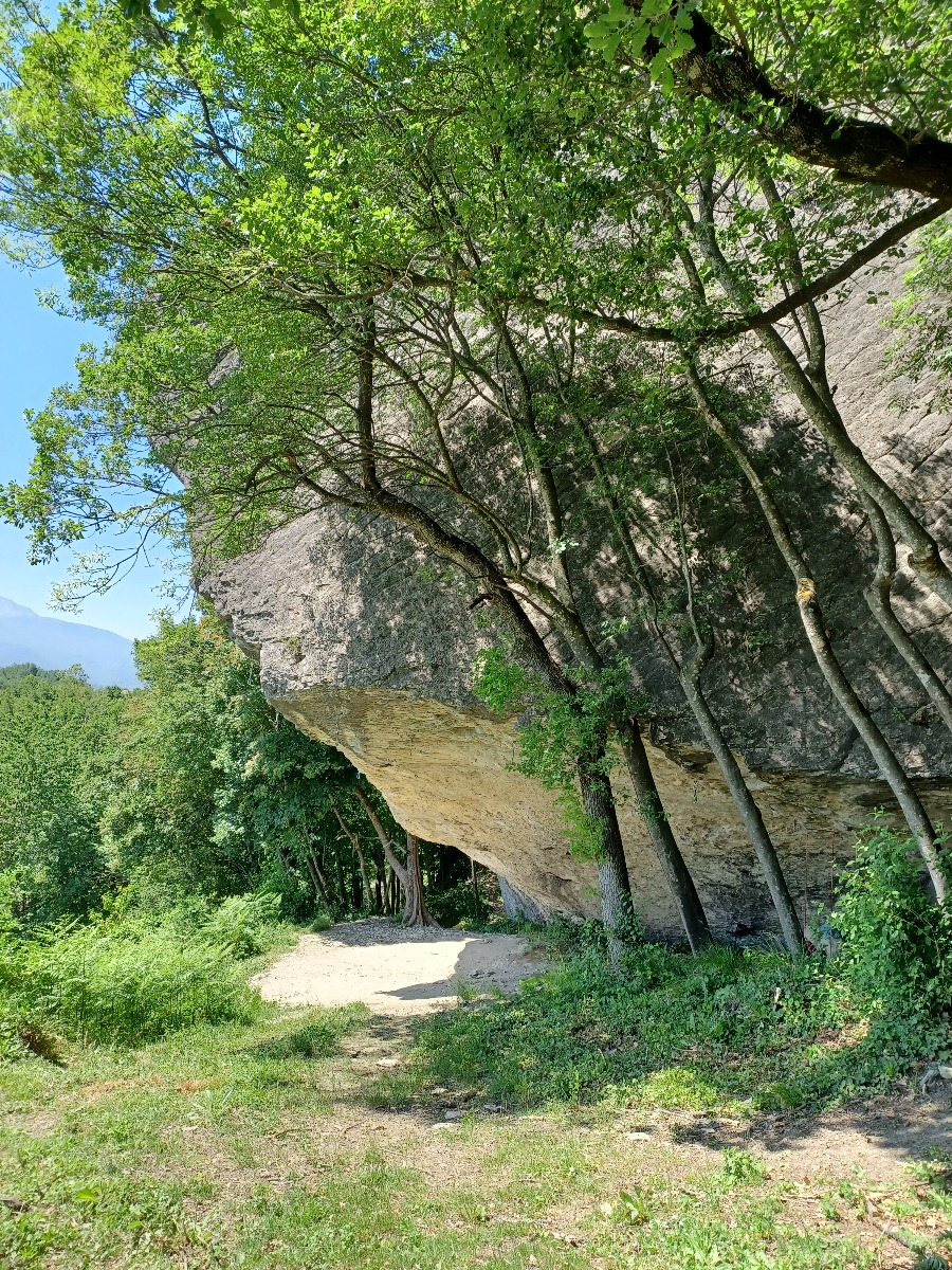 Moby Dick Bismantova