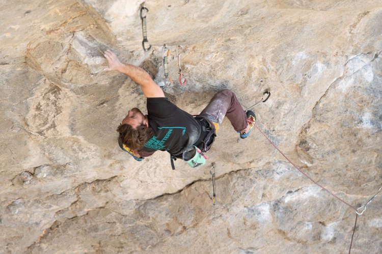 Matt Pincus Training Beta