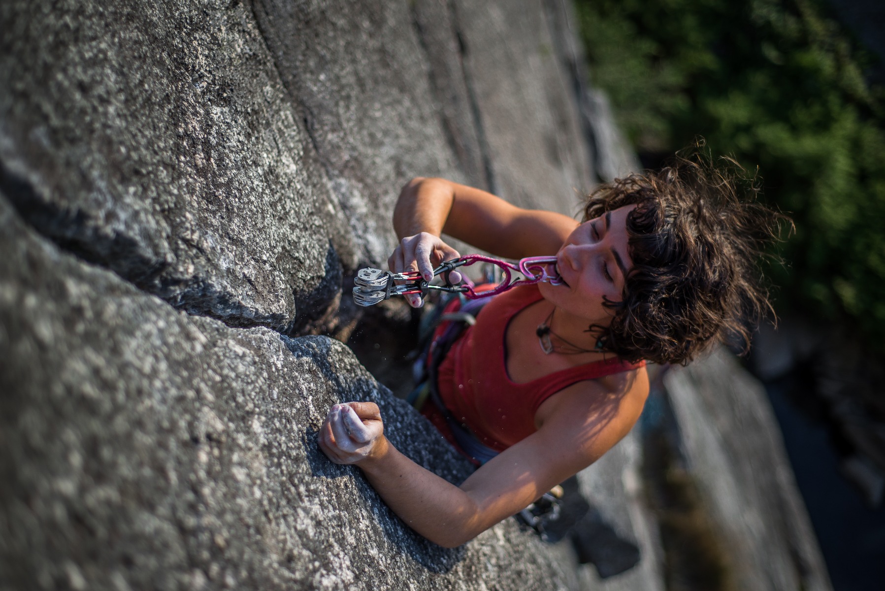 Credits to Totem Cam