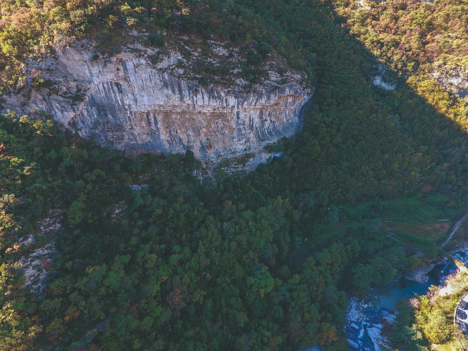 erboristeria - archivio Versante Sud
