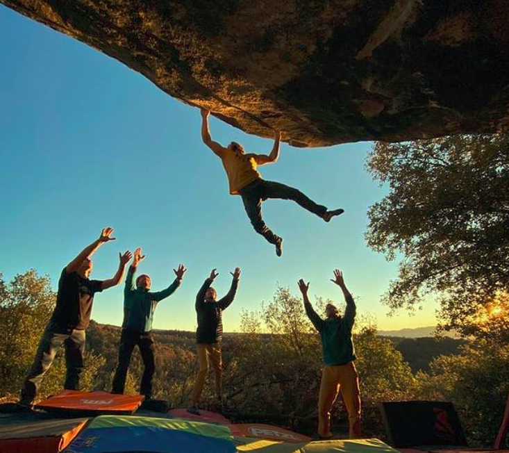 Purple Panther 8C pol roca