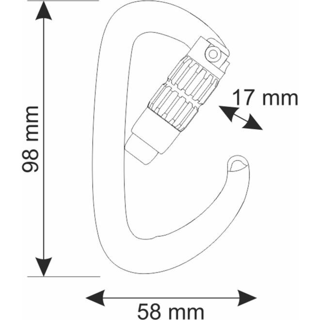 CAMP Orbit 2Lock climbing carabiner