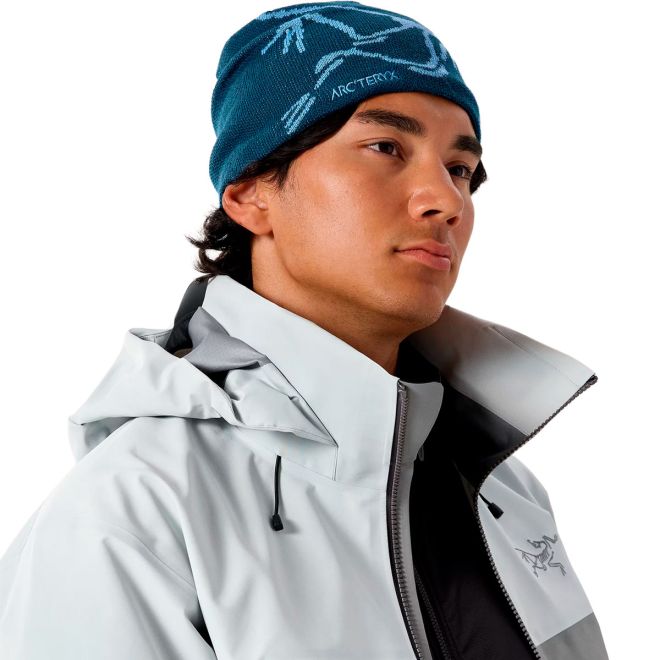 Arc'teryx Bird Head Toque beanie