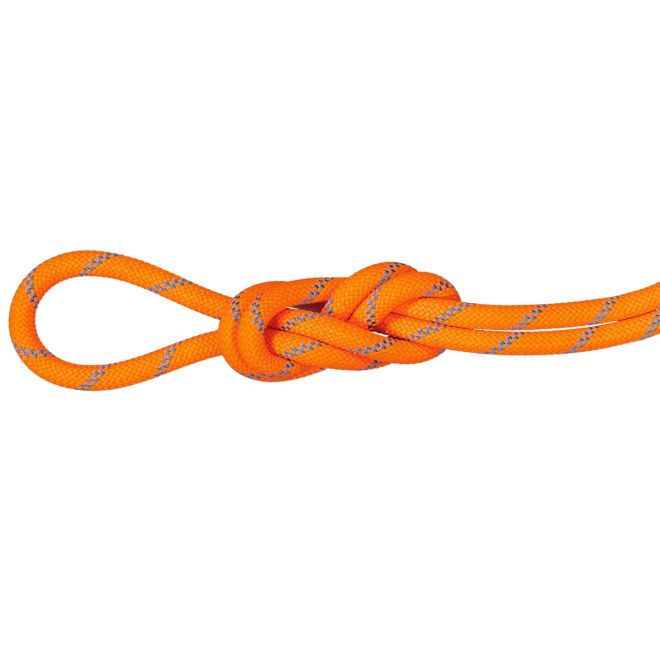 Mammut 8.7 Alpine Sender Dry Rope climbing rope