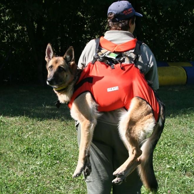 Alp Design Taxi σκυλίσια ζώνη διάσωσης