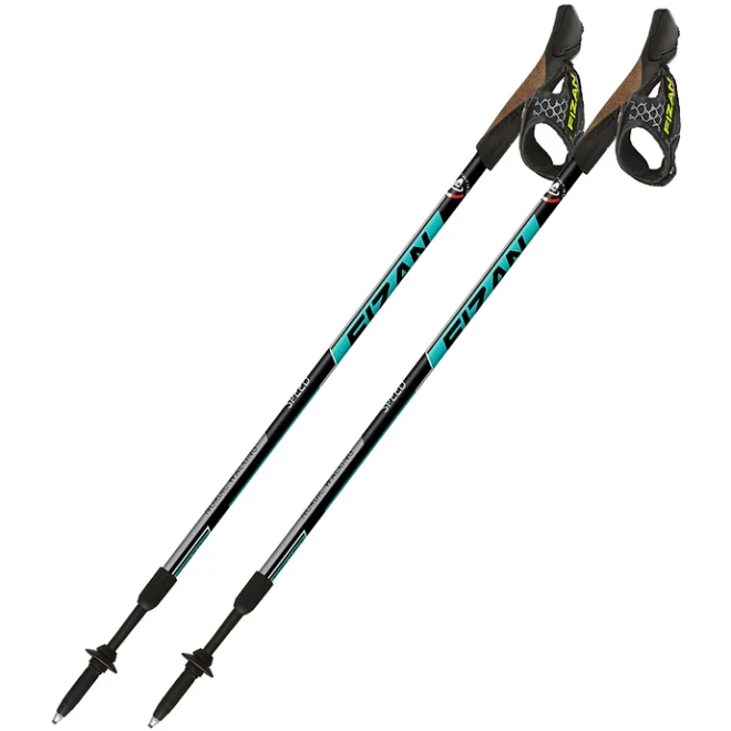 Fizan Speed Nordic walking poles