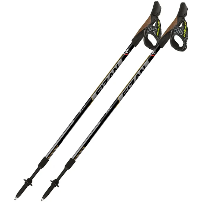 Fizan Speed Nordic walking poles