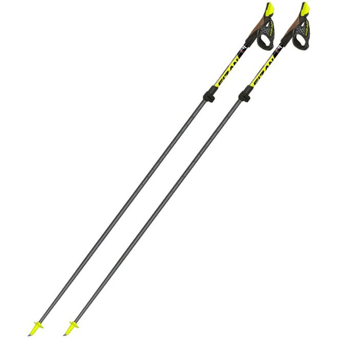 Fizan NW Carbon Pro Race nordic walking poles