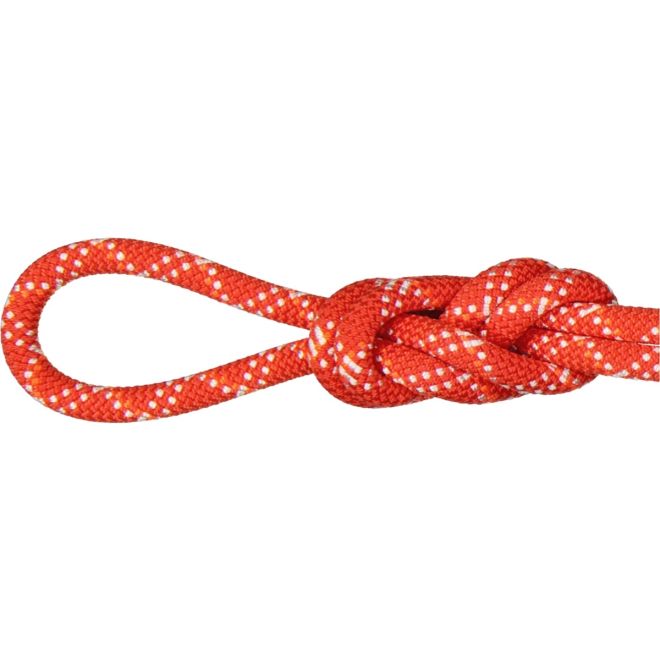 Mammut 9.5 Gym Classic Rope climbing rope