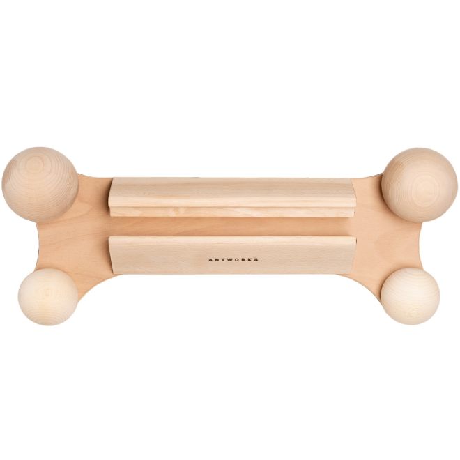 Antworks Strong Ant IV Klettertrainingsboard