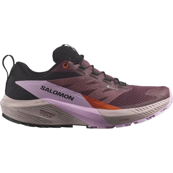 Salomon Sense Ride 5 GTX W γυναικεία παπούτσια trail running