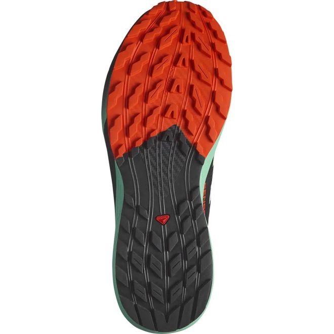 Salomon Sense Ride 5 παπούτσια τρεξίματος σε μονοπάτια