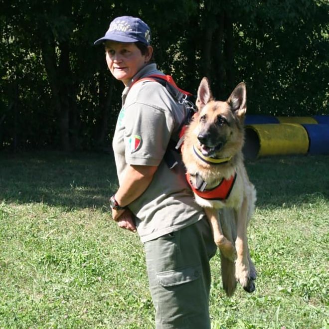 Alp Design Taxi σκυλίσια ζώνη διάσωσης