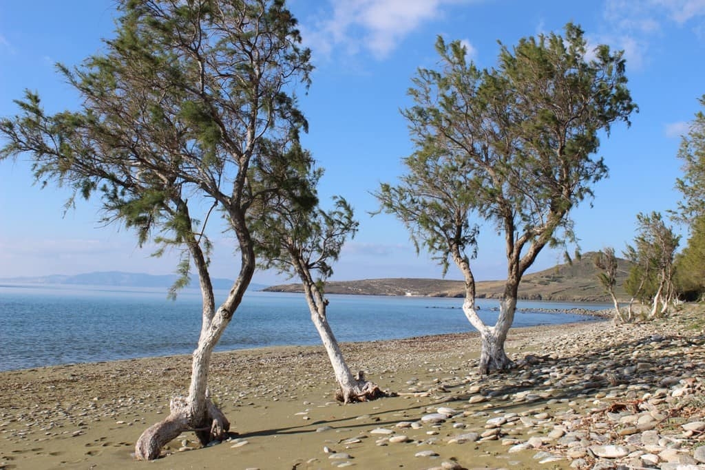 Tinos Grecia arrampicata spiaggia
