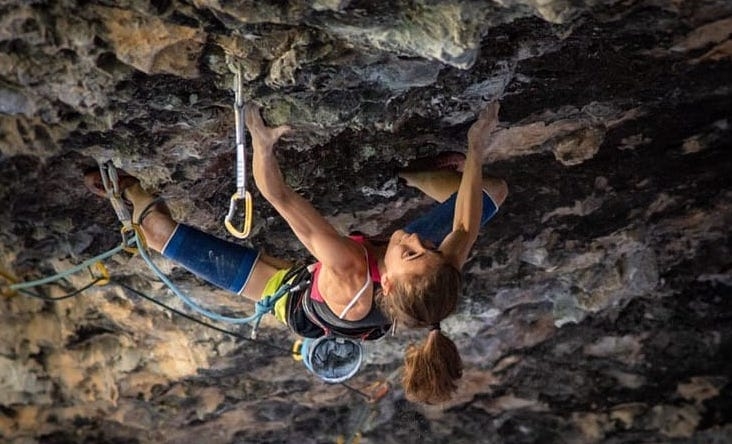 laura rogora laura rogora