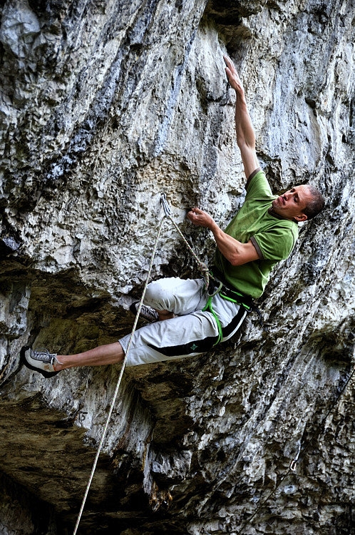 Foto: Tim Glasby Foto: Tim Glasby